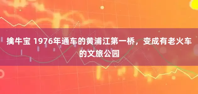擒牛宝 1976年通车的黄浦江第一桥，变成有老火车的文旅公园